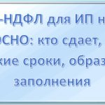 4-NDFL for individual entrepreneurs on OSNO: who submits, in what time frame, sample filling in 2018
