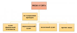 Audit of financial statements - essence, goals and objectives