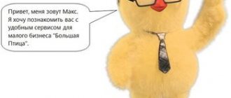 Big bird waiting for an accountant