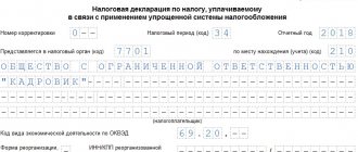 Declaration of income minus expenses