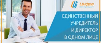 sole founder and director in one person