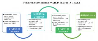 Форма 6 НДФЛ если нет работников