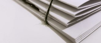 Фото: pixabay.com