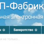 Functionality of the National Electronic Platform