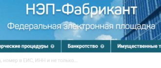 Functionality of the National Electronic Platform