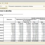 Payroll functionality. Salary summary - sample || Salary statements sample 