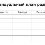 Individual development plan (IDP)