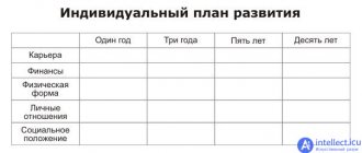 Individual development plan (IDP)