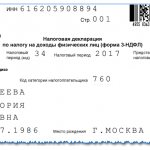 How to fill out the 3rd personal income tax declaration to receive a property deduction for 2018: detailed instructions