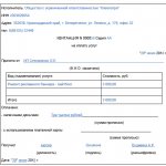 What mandatory details must be indicated in the BSO?