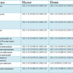 KBK when paying income tax in 2017-2018