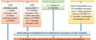 Кто и когда должен сдавать бухгалтерскую отчетность
