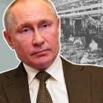 Who will still work during the week that Putin declared a non-working week? Spoiler - almost everything 