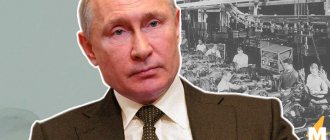 Who will still work during the week that Putin declared a non-working week? Spoiler - almost everything
