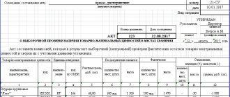 МХ-14 Акт о выборочной проверке наличия товарно-материальных ценностей в местах хранения»