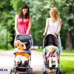 Young mothers walk in the park with strollers