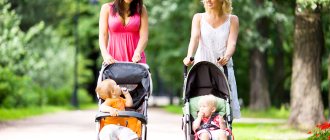 Young mothers walk in the park with strollers