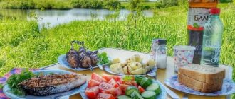Можно ли жарить шашлыки на рыбалке у реки, на даче или в лесу?