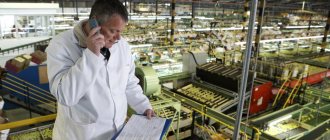 head of production department job description