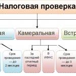 несколько видов налоговых проверок