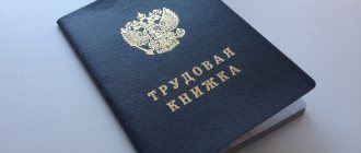 Does an individual entrepreneur need a work book?