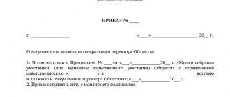 Sample order for the appointment of a sole founder as director