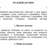 Sample employment contract with financial responsibility