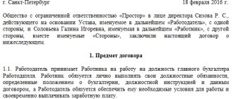 Sample employment contract with financial responsibility