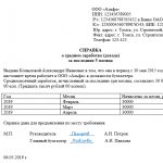 Sample of filling out an income certificate