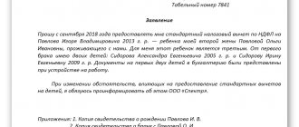 Образец заявления на налоговый вычет на ребенка в 2019 году