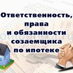 Responsibility, rights and obligations of a co-borrower under a mortgage