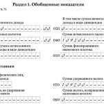 PC Taxpayer PRO. Filling out the 6-NDFL report 