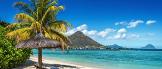 why it is not very profitable to take a vacation in January