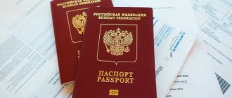 Obtaining a passport