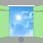 Порядок передачи долей ООО в доверительное управление: особенности оформления