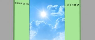 Порядок передачи долей ООО в доверительное управление: особенности оформления