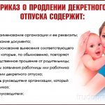 Приказ на кредит