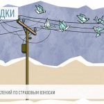 Проводки по начислению пени по страховым взносам в 2019 году