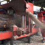 framer at the sawmill at work photo