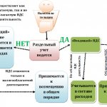 Distribution of VAT for separate accounting