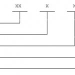 Расшифровка кода ОКОПФ