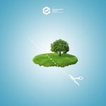 Division of land and allocation of shares: how to proceed?