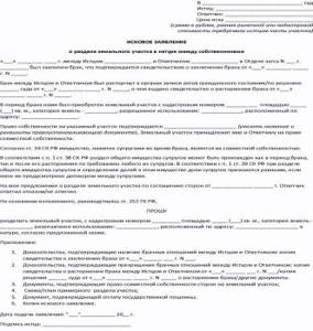 заявление о выделении доли в совместном имуществе. исковое заявление о разделе земельного участка. исковое заявление о разделе земельного участка. образец искового заявления о выделе доли. исковое заявление о разделе земельного участка.