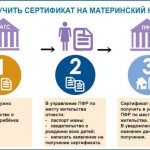 Scheme for obtaining maternity capital