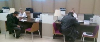 Сколько часов должна работать беременная женщина: график работы, права и обязанности