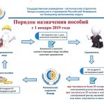 employee social insurance