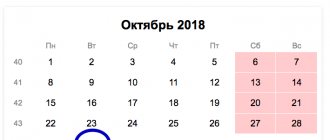 Deadlines for submitting calculations for insurance premiums (DAM) in 2019