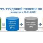 Структура трудовой пенсии по старости