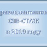 SZV-experience: and sample filling in 2019