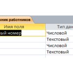 Personnel number of the organization&#39;s employee